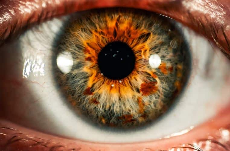 7 תרופות טבעיות יעילות לעין יבשה